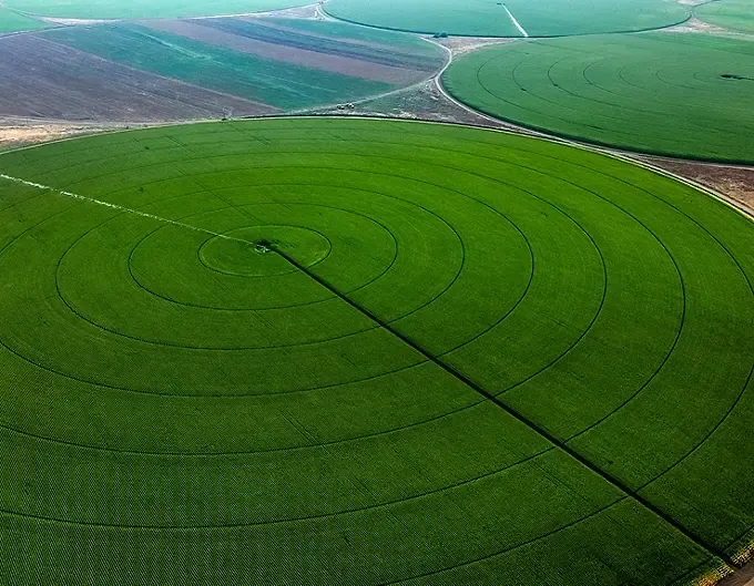 Agriculture